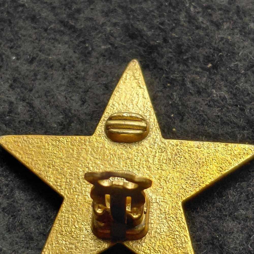 Chanel Star Coco Mark Earrings Clip-On White Gold - Picture 6 of 12